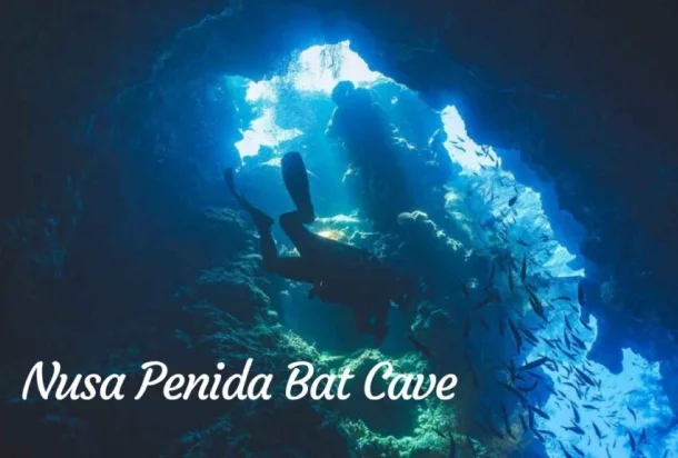 Nusa Penida Bat Cave Nusa Penida Bat Cave